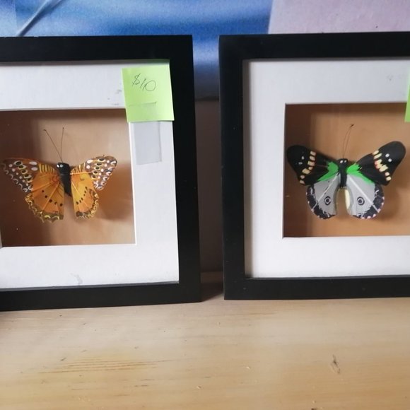 butterfly small picture in beautiful black frame - Picture 1 of 2